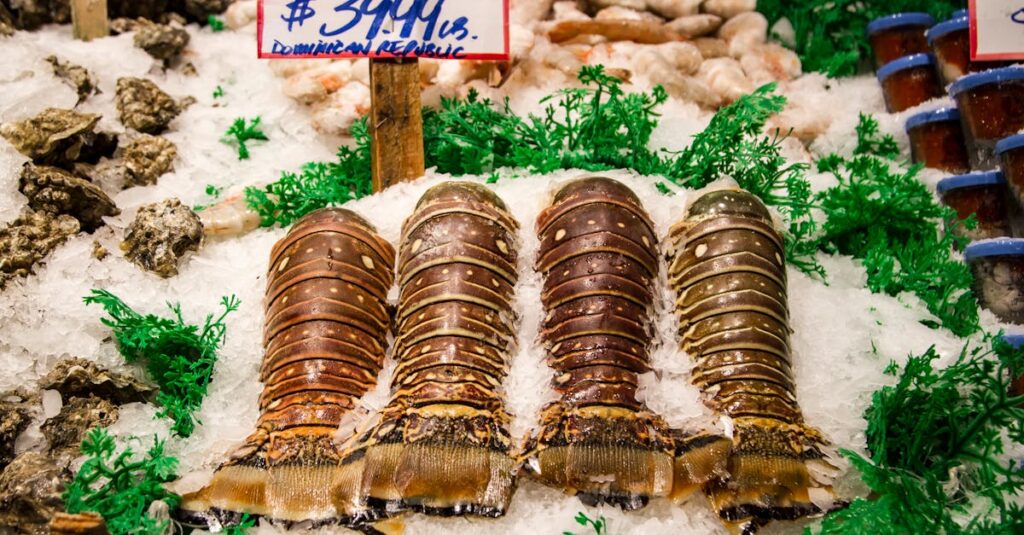 découvrez les souvenirs uniques de la république dominicaine, parfaits pour rappeler vos vacances : artisanat local, produits typiques et cadeaux authentiques.