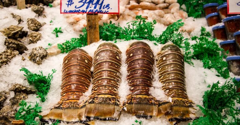 découvrez les souvenirs uniques de la république dominicaine, parfaits pour rappeler vos vacances : artisanat local, produits typiques et cadeaux authentiques.