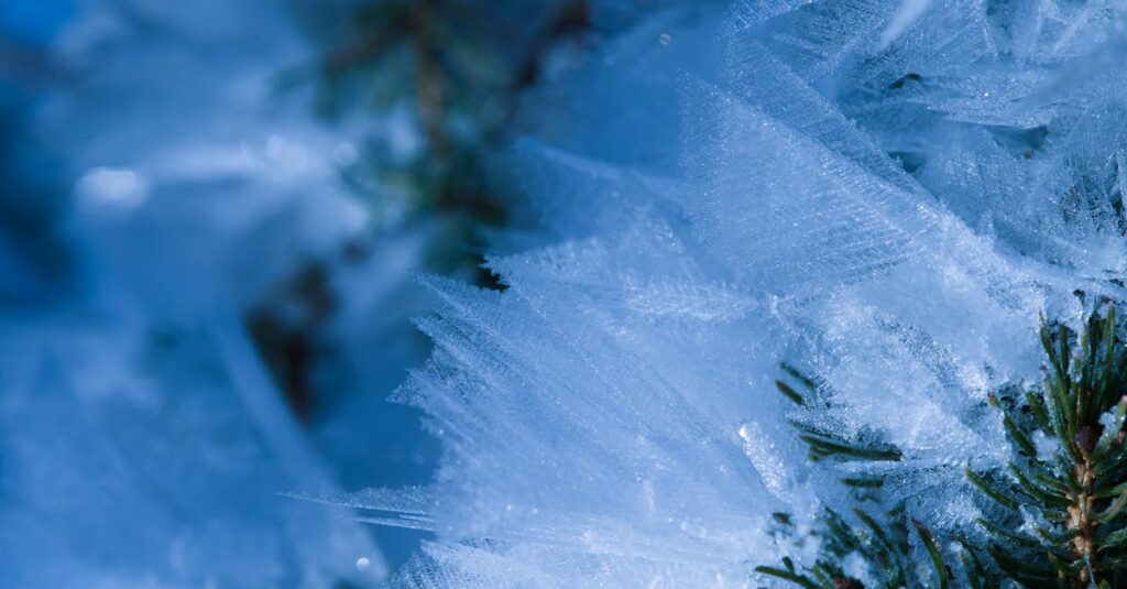 découvrez les souvenirs authentiques du jura, entre paysages pittoresques et traditions locales, pour garder un souvenir inoubliable de cette région unique.