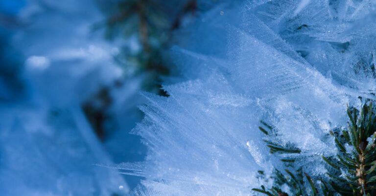 découvrez les souvenirs authentiques du jura, entre paysages pittoresques et traditions locales, pour garder un souvenir inoubliable de cette région unique.