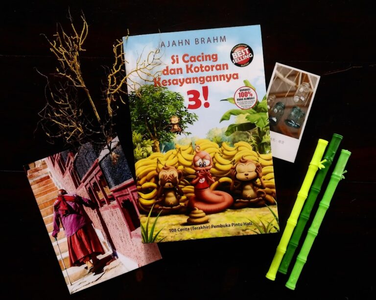 découvrez notre sélection unique de cadeaux issus de magazines pour toutes les occasions. offrez des surprises originales et inspirantes à vos proches.