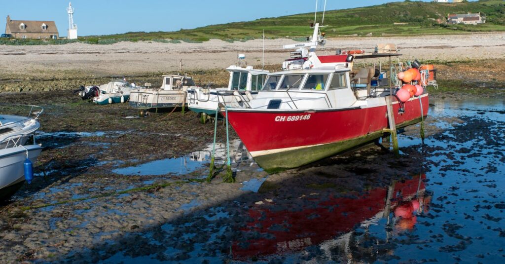 découvrez les souvenirs authentiques de normandie, des objets traditionnels et cadeaux uniques pour ramener un morceau de cette région historique chez vous.