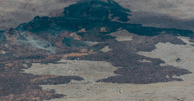 découvrez des souvenirs authentiques de l'île de la réunion, entre artisanat local, spécialités culinaires et objets typiques pour rapporter un peu de cette île paradisiaque chez vous.