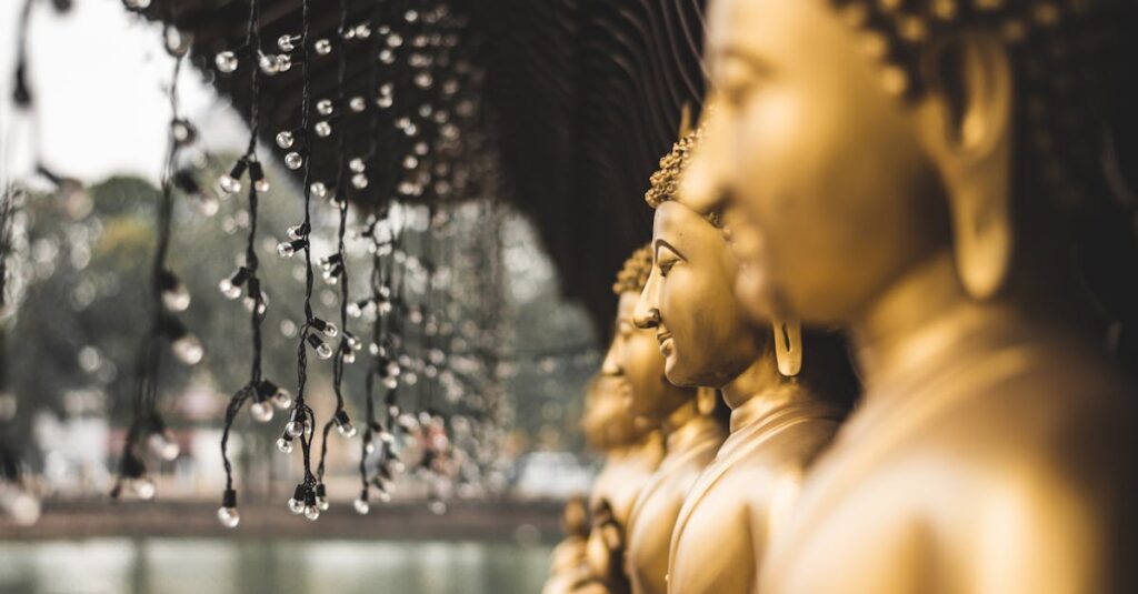 découvrez une sélection unique de souvenirs authentiques du sri lanka, parfaits pour rapporter un morceau de cette île magnifique chez vous.