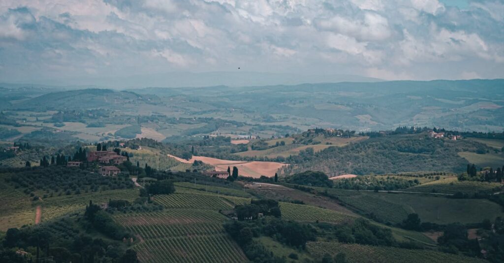 découvrez des souvenirs authentiques de toscane, entre artisanat local, vins renommés et paysages enchanteurs pour garder un morceau de cette région magique.