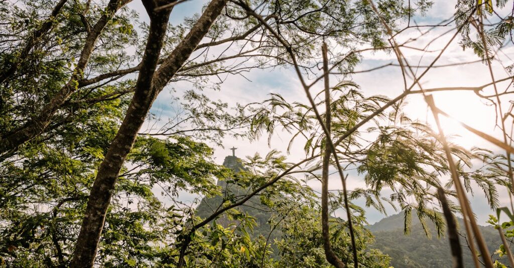 découvrez notre sélection unique de souvenirs de rio de janeiro, parfaits pour revivre vos moments inoubliables au cœur du brésil.