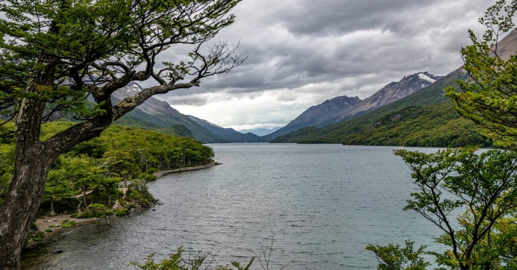 découvrez notre sélection unique de souvenirs patagonia, parfaits pour revivre vos aventures en pleine nature ou offrir un cadeau authentique.
