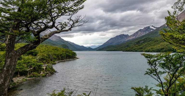 découvrez notre sélection unique de souvenirs patagonia, parfaits pour revivre vos aventures en pleine nature ou offrir un cadeau authentique.
