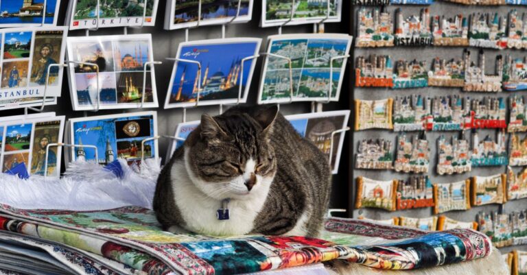 découvrez et conservez vos souvenirs précieux à travers des récits, photos et moments inoubliables qui racontent votre histoire unique.