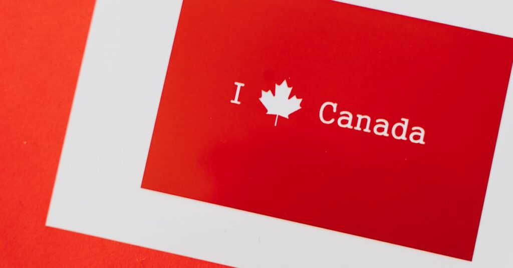 découvrez une sélection unique de souvenirs canadiens authentiques, parfaits pour garder un souvenir mémorable du canada.